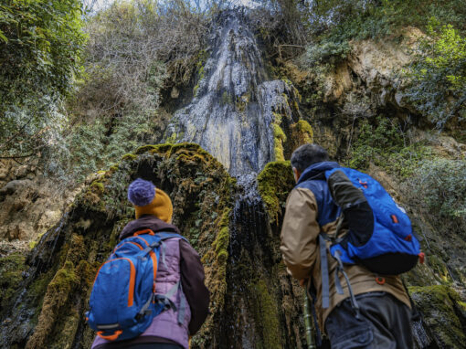 CAMMINO FRANCESCANO IN SARDEGNA