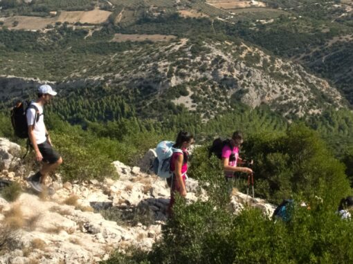 Cammino dei Beati, dal mare del golfo di Orosei al Supramonte