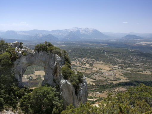 CAMMINO DEI BEATI