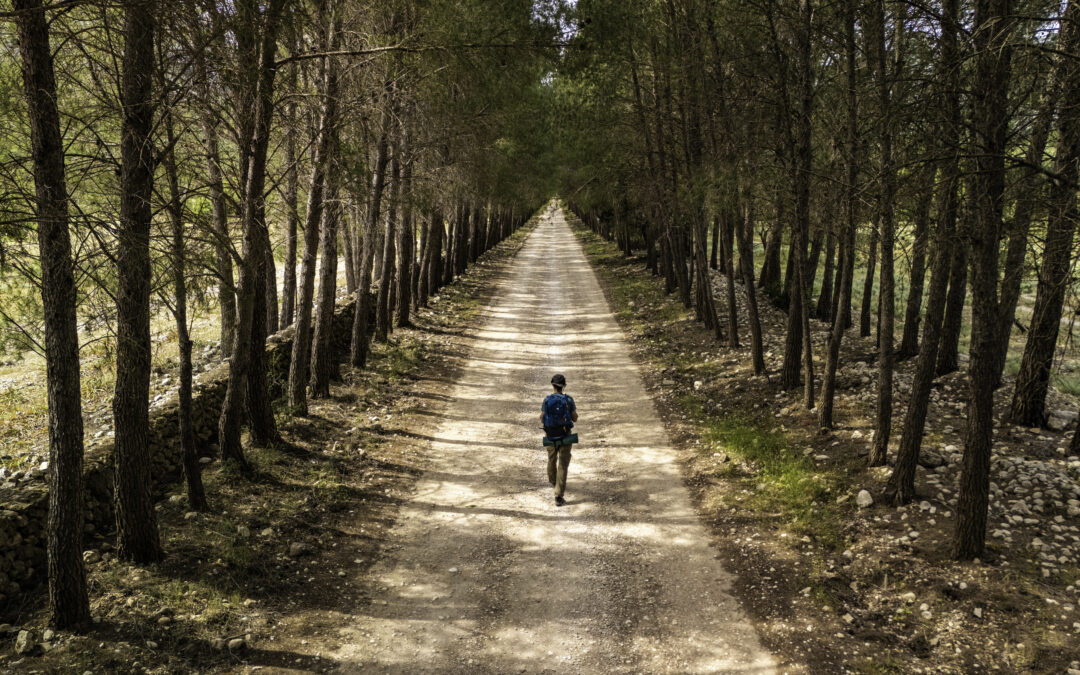 Sardegna Slow: doppio appuntamento per i Cammini che svelano l’anima dell’Isola