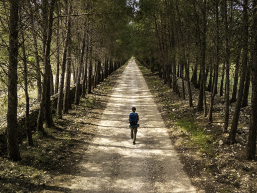 Sardegna Slow: doppio appuntamento per i Cammini che svelano l’anima dell’Isola